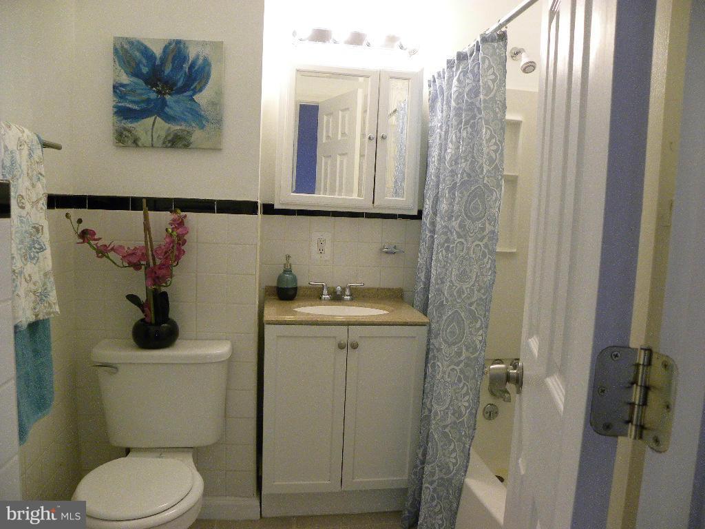 4418 Roundhill Road Alexandria, VA 22310 - Photo 14 of 17 Bath