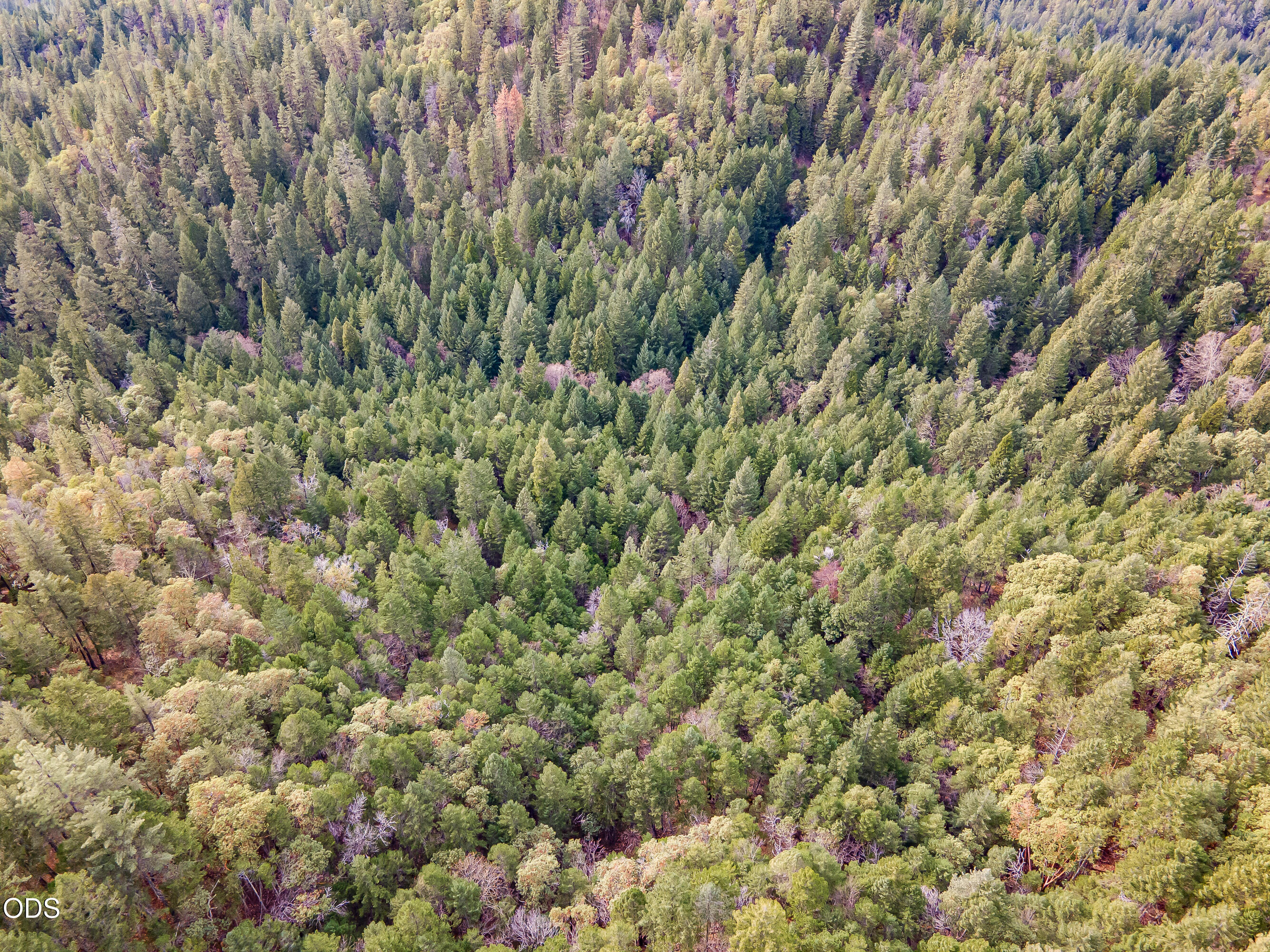 Pleasant Cr Road Rogue River, OR 97537 - Photo 5 of 42
