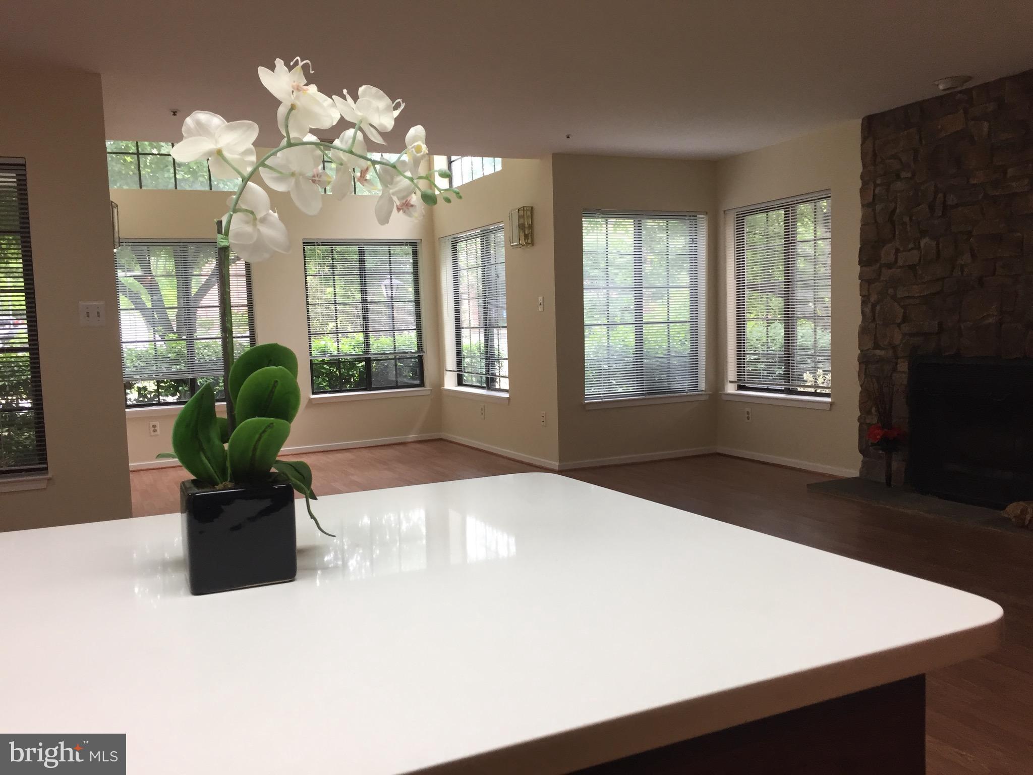 3475 Hewitt Avenue, Unit 101 Silver Spring, MD 20906 - Photo 16 of 30 View from kitchen island