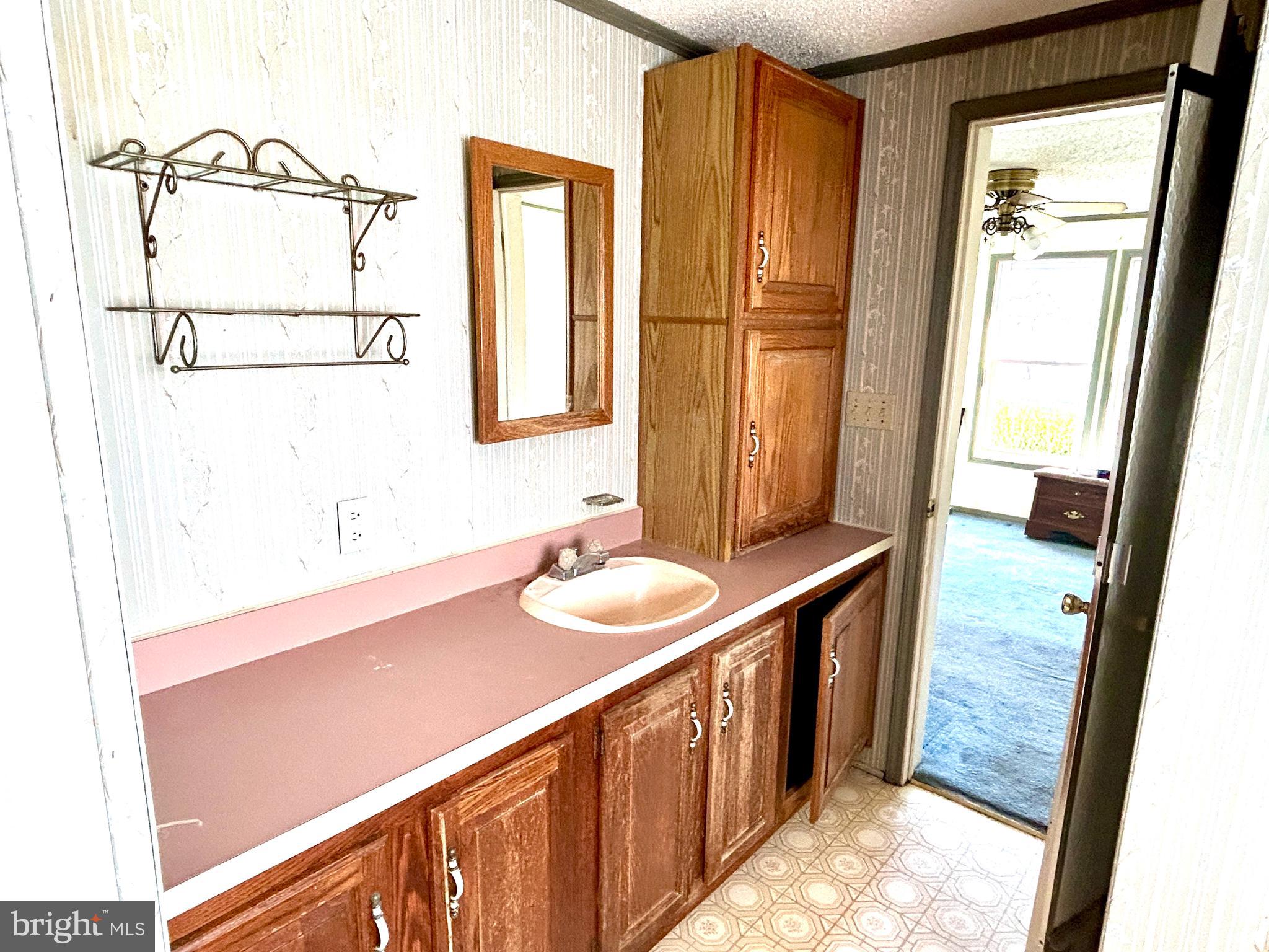 3450 Indian Bone Road Cambridge, MD 21613 - Photo 11 of 14 a bathroom with a sink and a mirror
