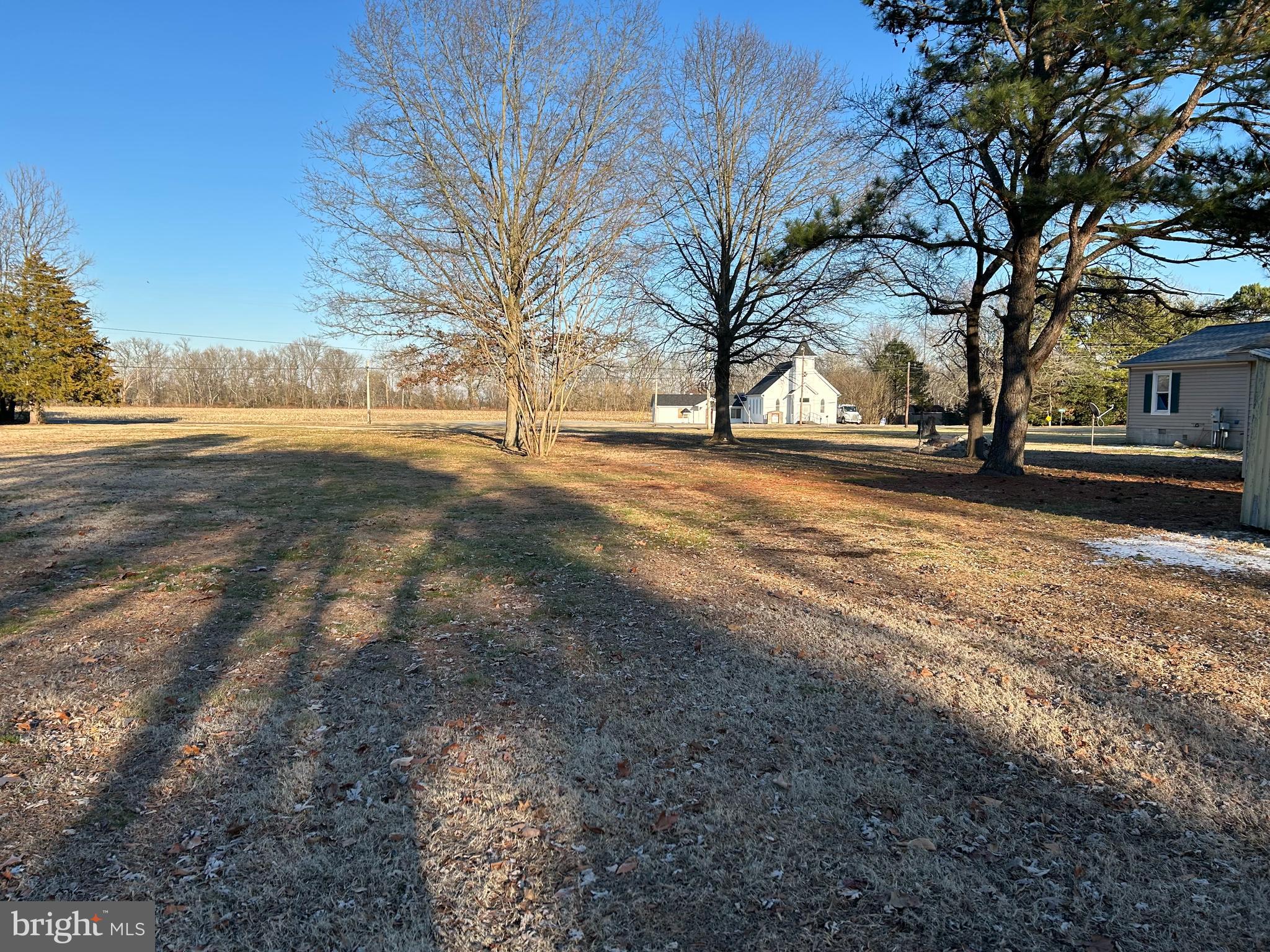 3450 Indian Bone Road Cambridge, MD 21613 - Photo 2 of 14 a view of yard with trees