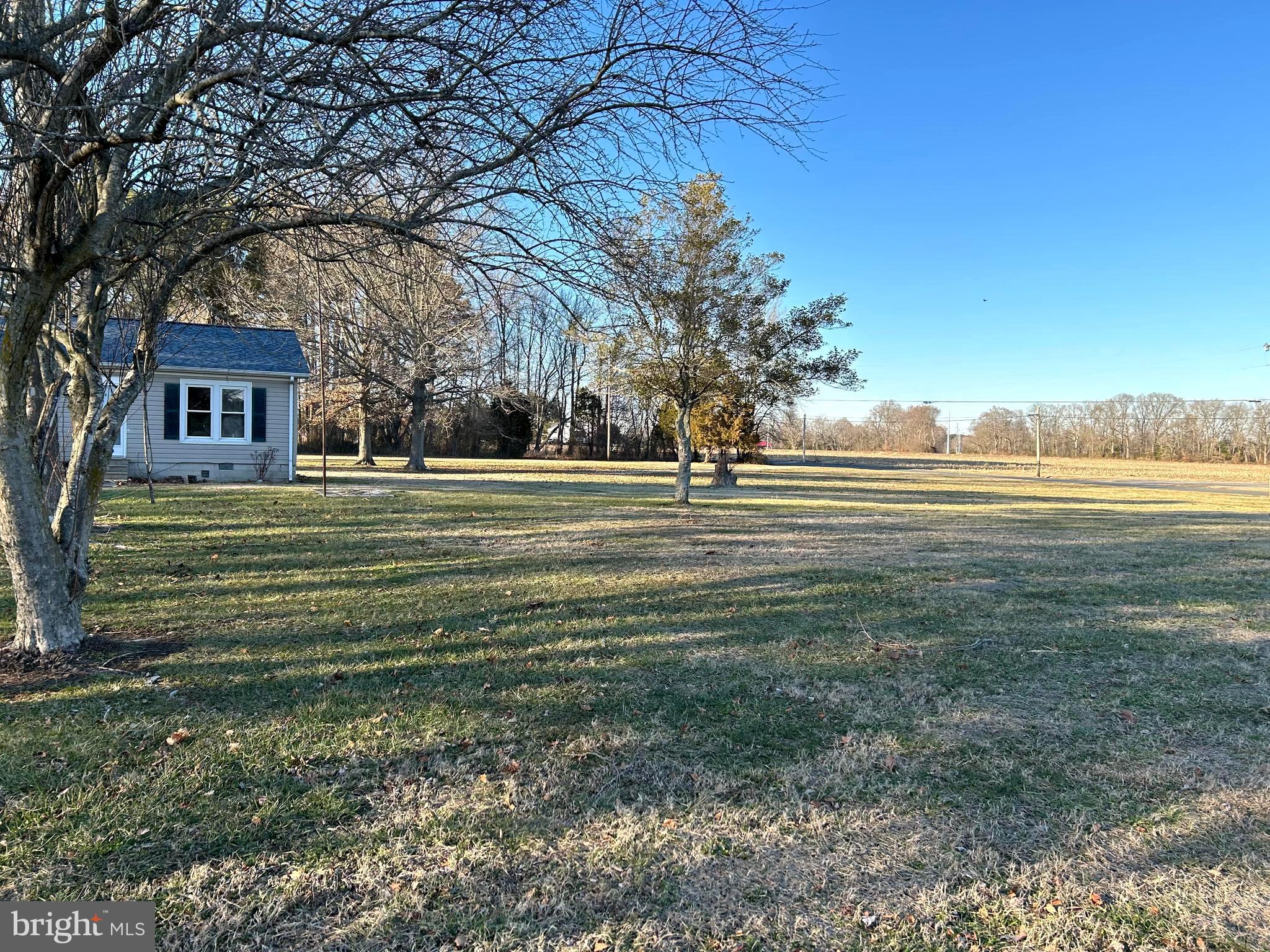 3450 Indian Bone Road Cambridge, MD 21613 - Photo 3 of 14 a big yard with lots of green space and plants