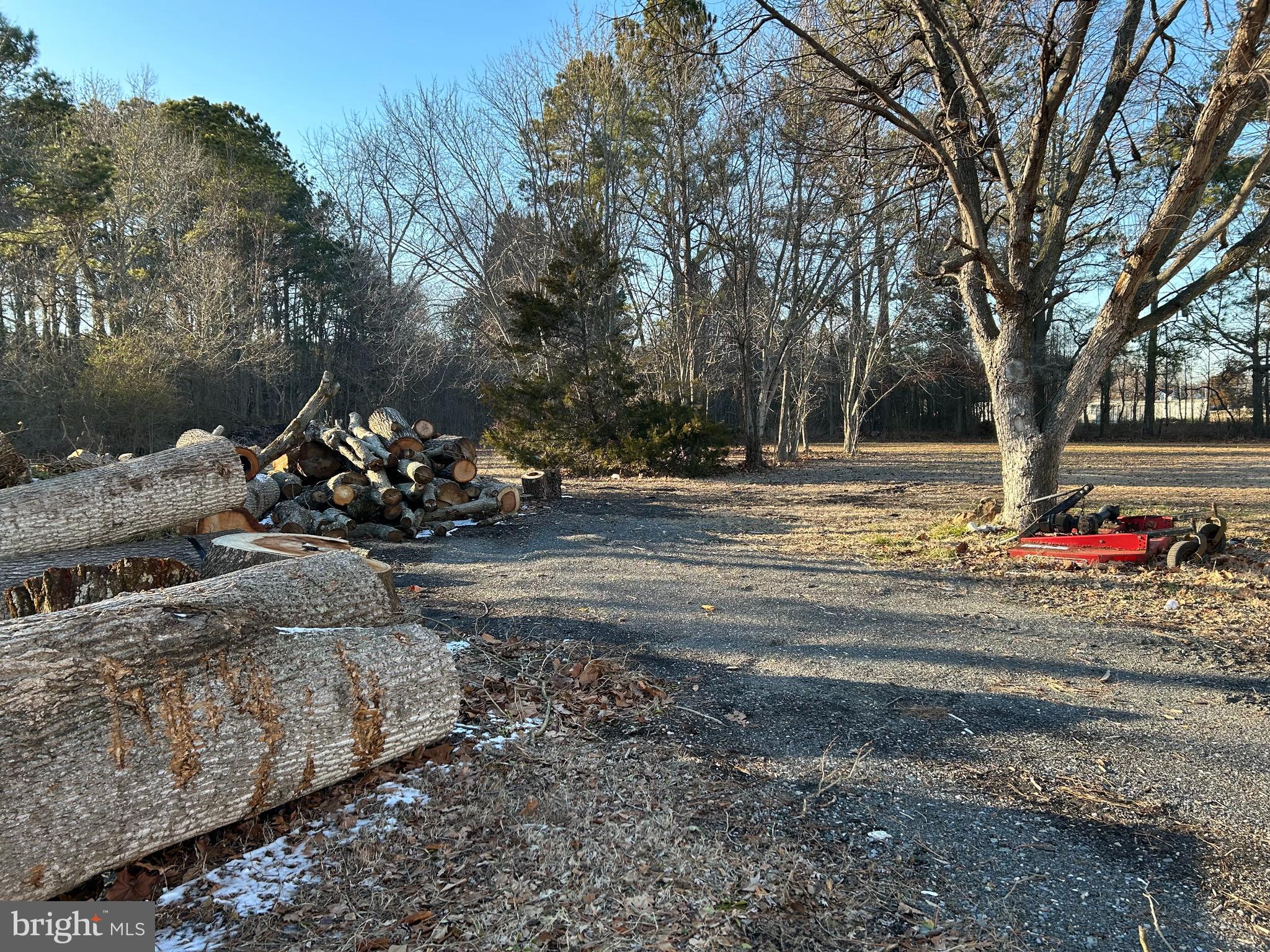 3450 Indian Bone Road Cambridge, MD 21613 - Photo 6 of 14 a view of a fire pit with large trees