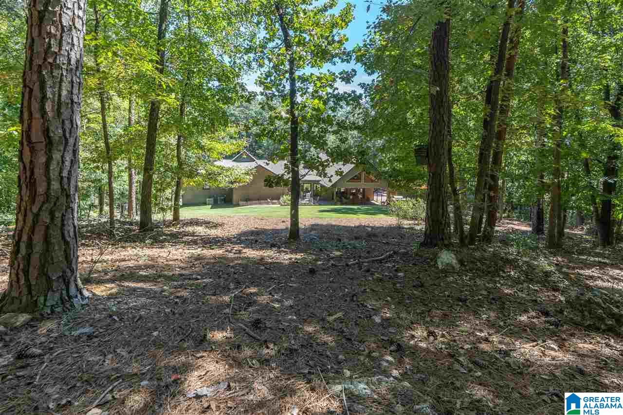 320 New Hope Mtn Road Pelham, AL 35124 - Photo 46 of 50