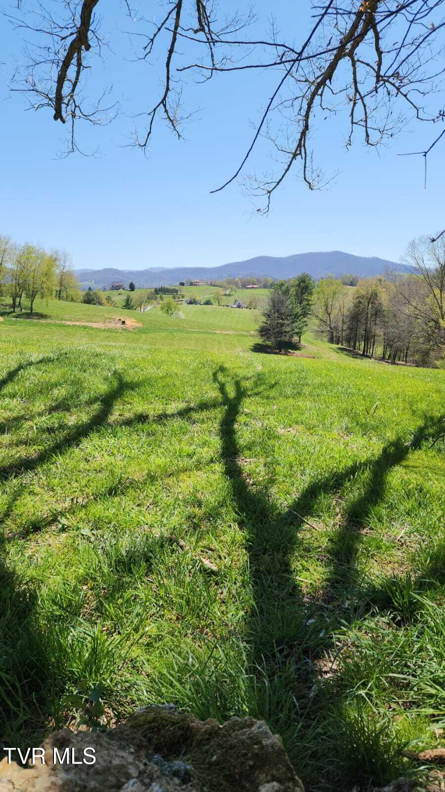 0 Dry Hill Road, Unit LOT 29 Butler, TN 37640 - Photo 8 of 11 IMG-20250416-WA0042