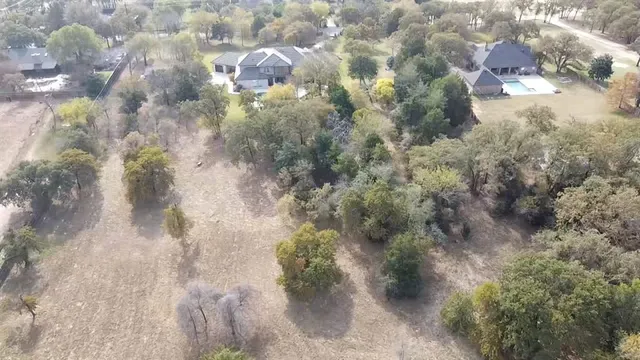 a close up of a plant