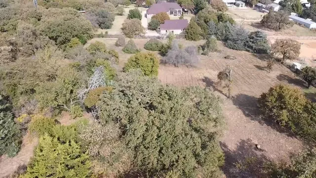 a view of a yard with plants and trees