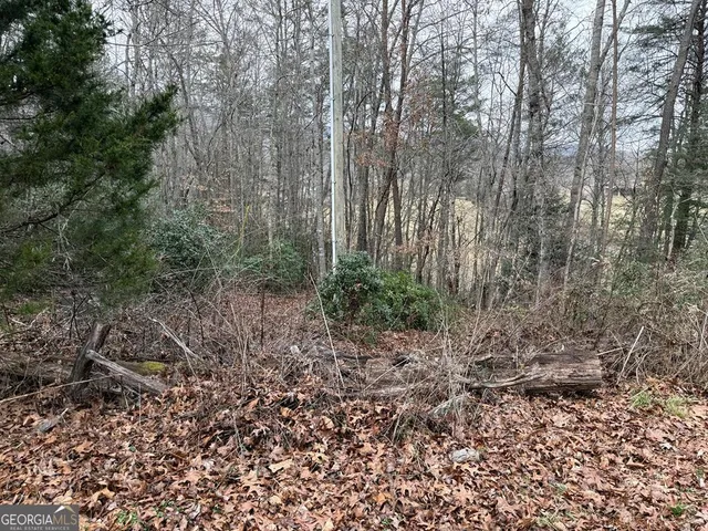 $29,900 | Lot 33 Ideal Acres, Otto, NC 28763