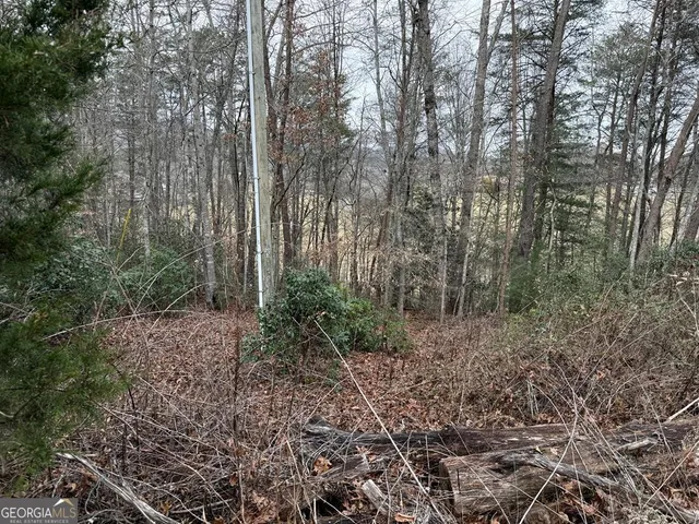 $29,900 | Lot 33 Ideal Acres, Otto, NC 28763