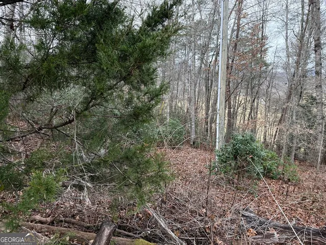 $29,900 | Lot 33 Ideal Acres, Otto, NC 28763