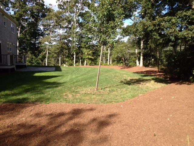 147 Rocky Hill Road Brewster, MA 02631 - Photo 28 of 35 Additional Photo