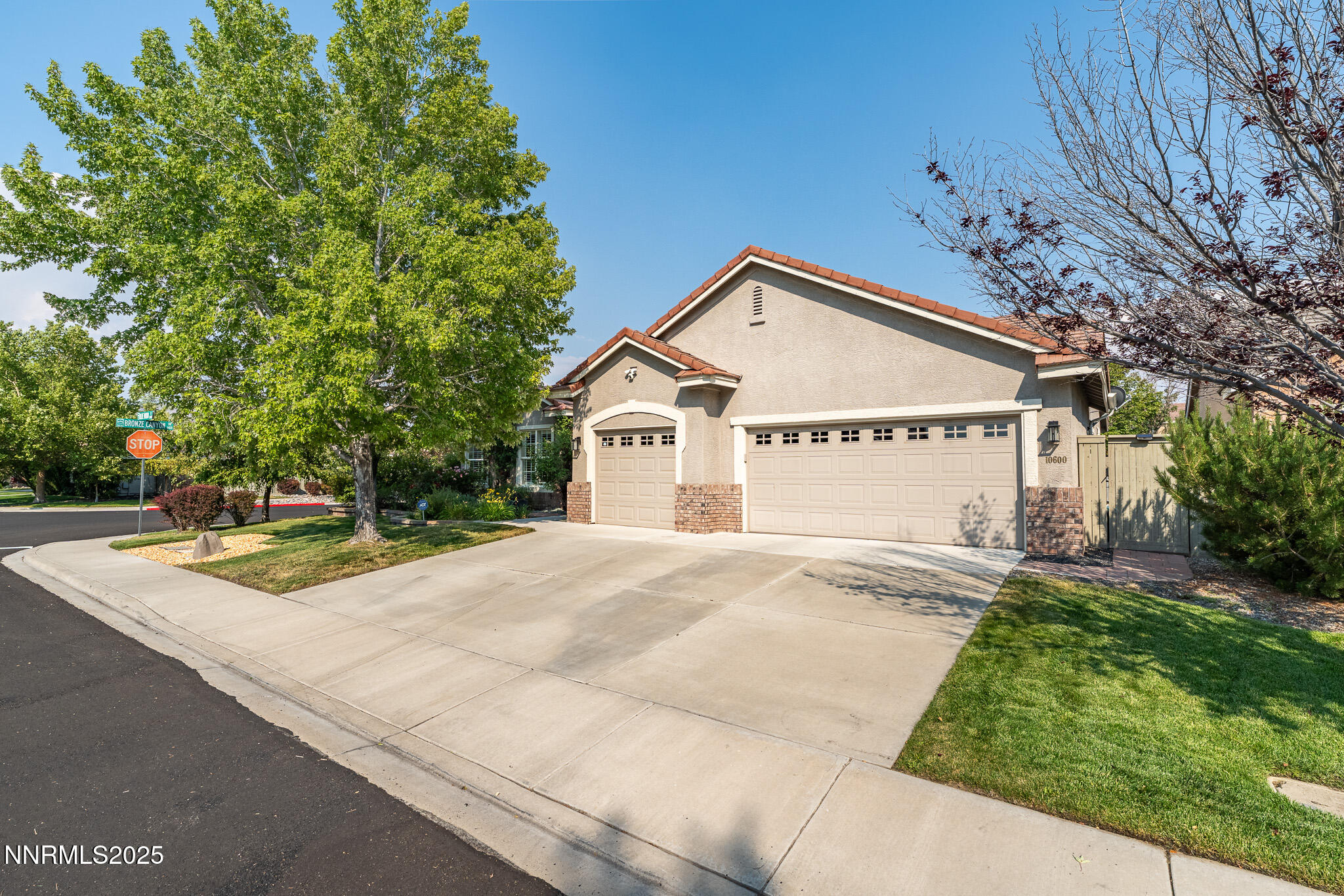 10600 Blue Moon Court Reno, NV 89521 - Photo 1 of 36 a view of white house with a yard and palm trees