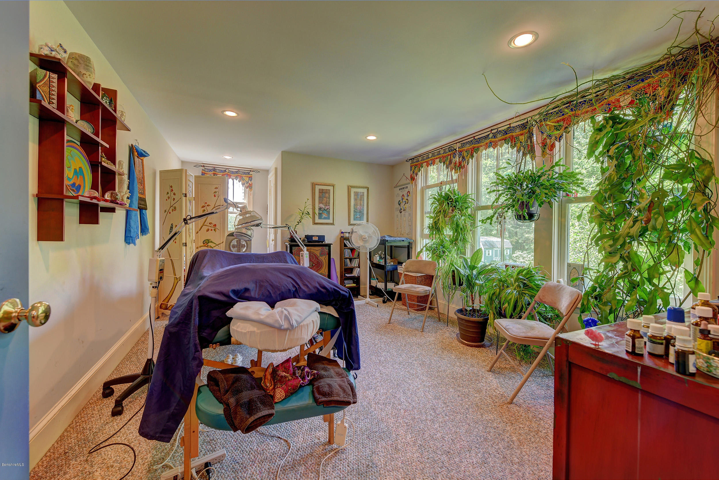 201 Rossiter Road Richmond, MA 01254 - Photo 38 of 52 a living room with furniture and a potted plant