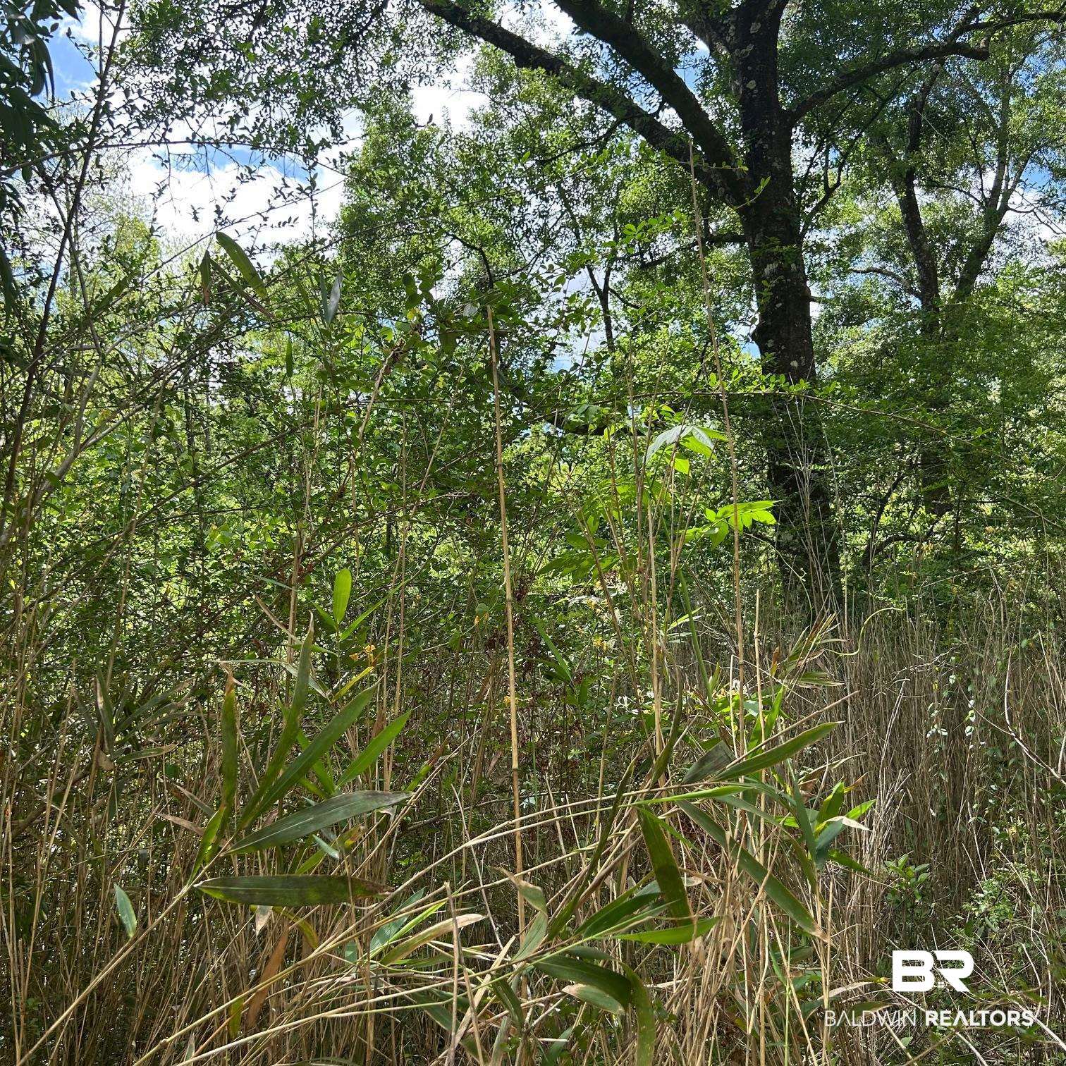 23587 Cowling Road Robertsdale, AL 36567 - Photo 16 of 40 Gallery Image 16