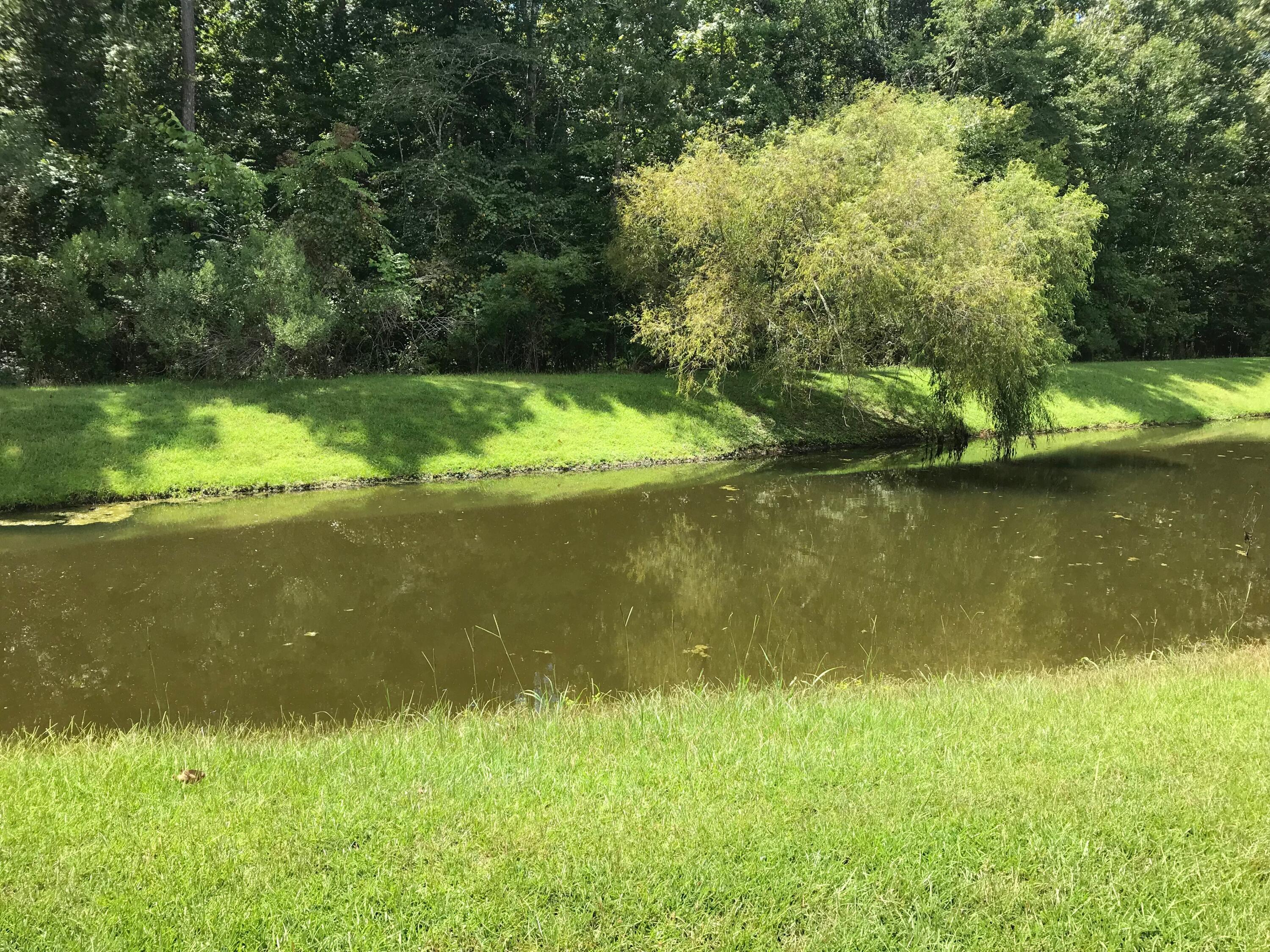 118 Old Jackson Road Goose Creek, SC 29445 - Photo 20 of 22 IMG-2955