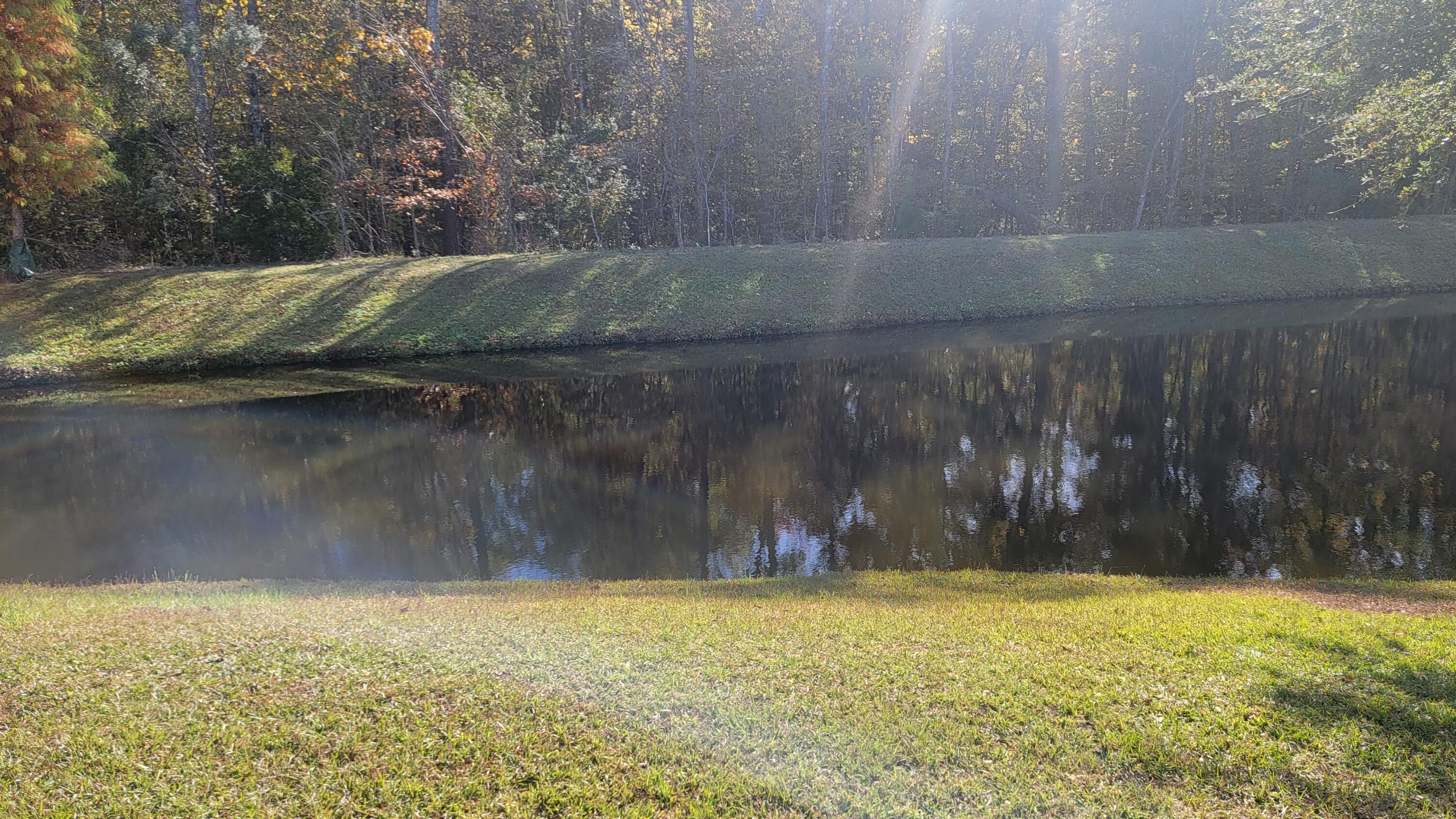 118 Old Jackson Road Goose Creek, SC 29445 - Photo 21 of 22 20211120_134042