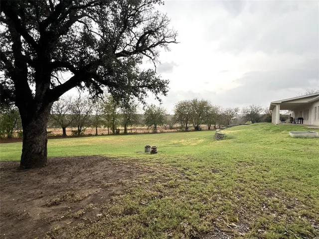 a view of a park with large trees