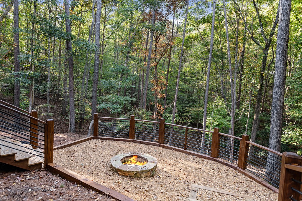 327 Armor Way North Ellijay, GA 30540 - Photo 34 of 40 Gallery Image 34
