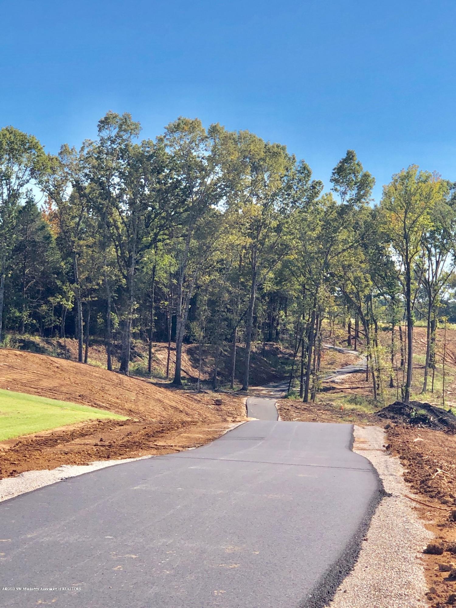 545 Howell Way Hernando, MS 38632 - Photo 6 of 42 Copper leaf walking trail