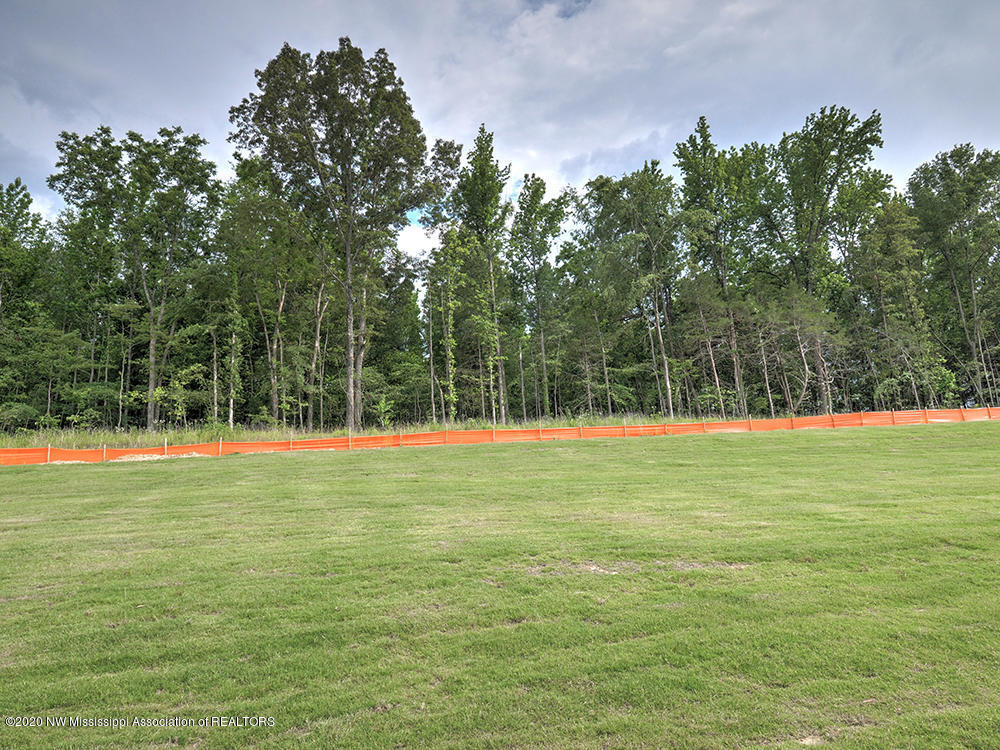 545 Howell Way Hernando, MS 38632 - Photo 8 of 42 BEAUTIFUL BACKYARD VIEW