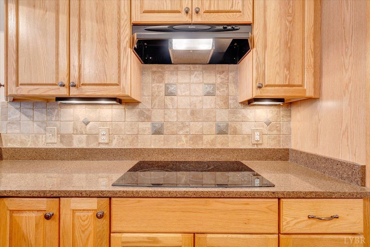 135 Ralls Apple Road Madison Heights, VA 24572 - Photo 15 of 78 Gallery Image 15