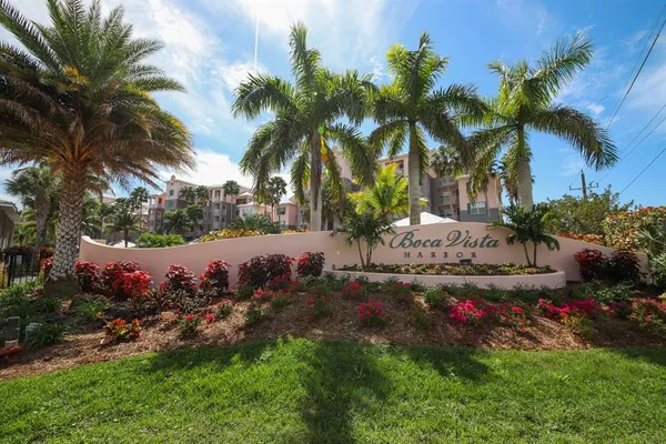 a view of a yard with palm trees