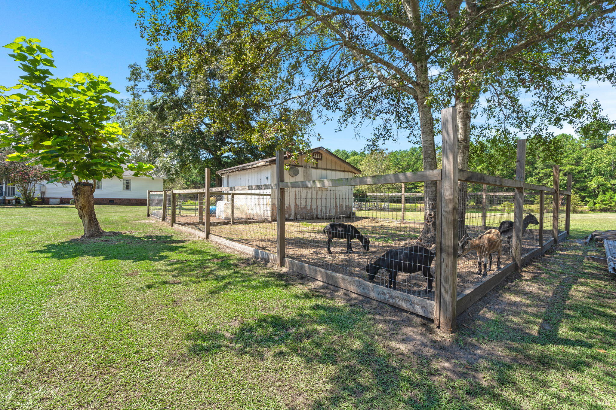 2715 Carver School Road Cope, SC 29038 - Photo 46 of 55 43