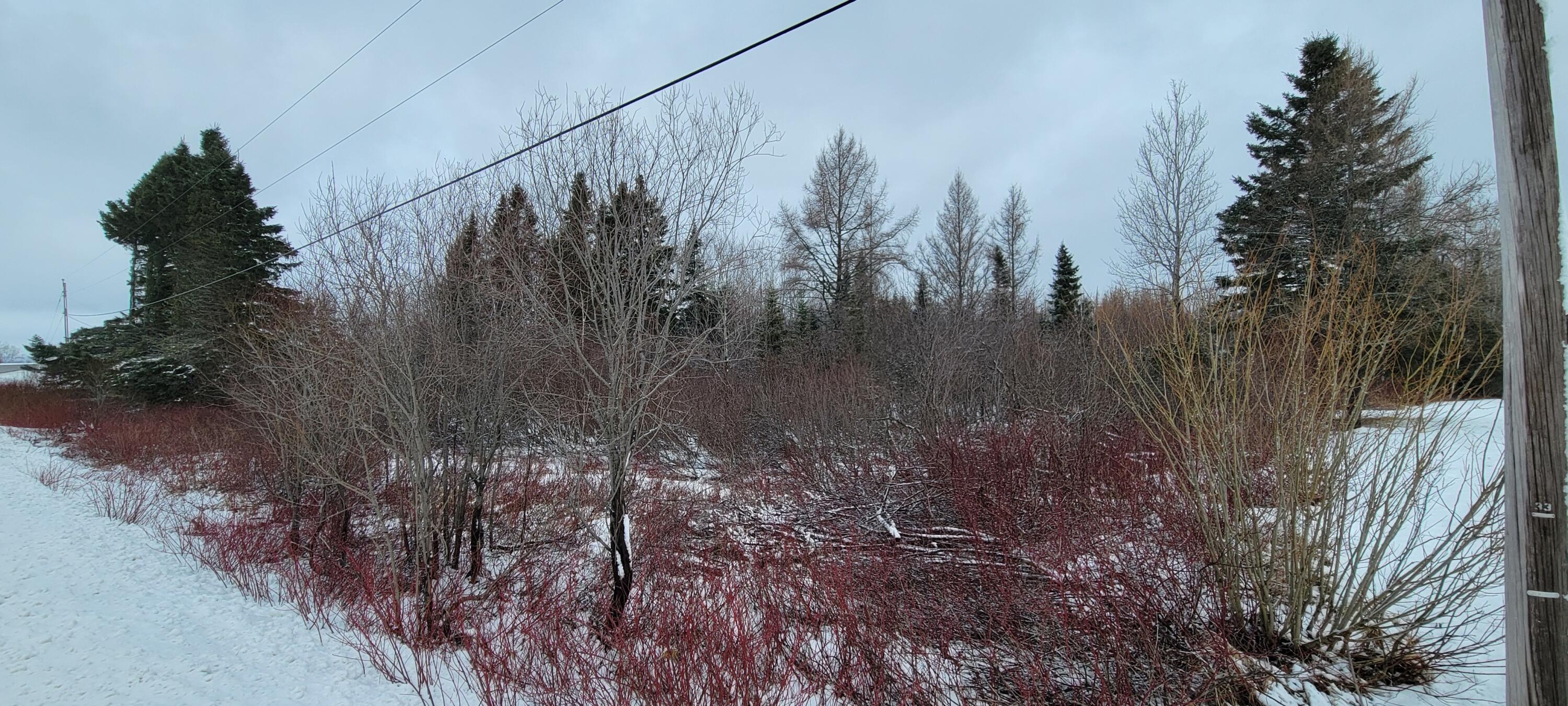 54 D Lavertu Road St. David, ME 04773 - Photo 8 of 9 20240318_093210