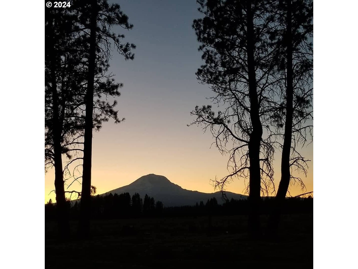 106 Lakeside Road Glenwood, WA 98619 - Photo 12 of 20 a view of a yard