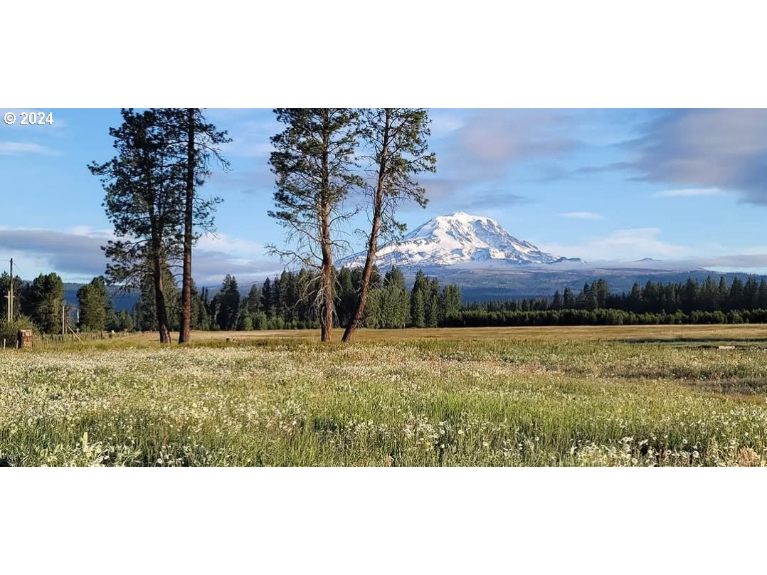 106 Lakeside Road Glenwood, WA 98619 - Photo 13 of 20 a view of an outdoor space and mountain view