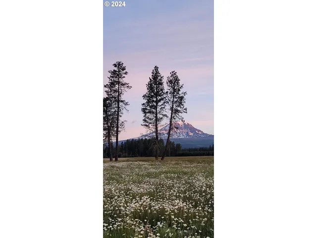 a view of outdoor space and city view