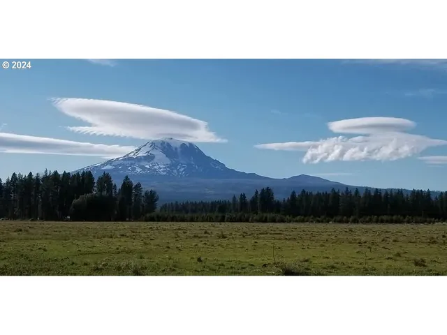 a view of a lake from a yard