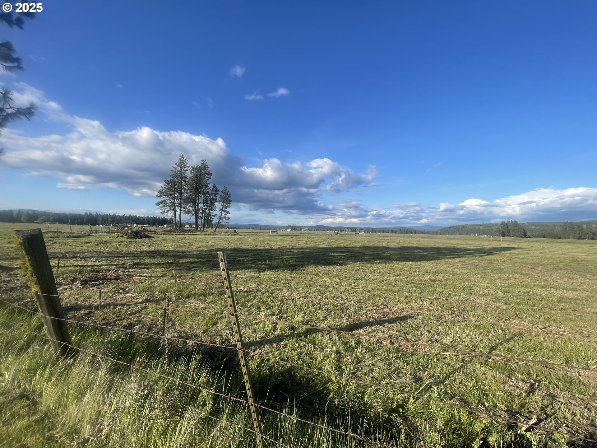106 Lakeside Road Glenwood, WA 98619 - Photo 16 of 20 a view of a lake from a yard