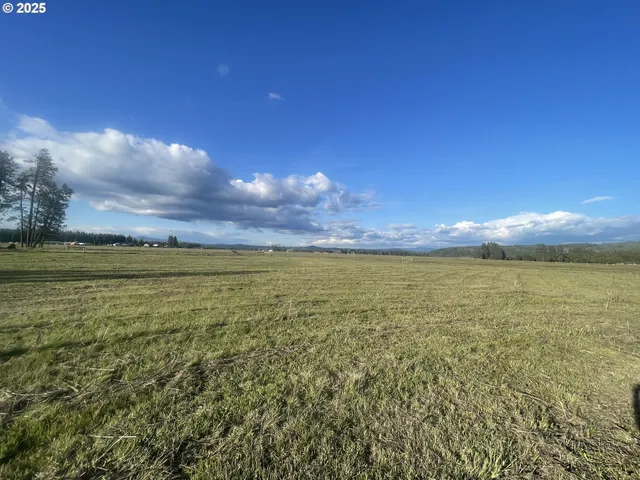a view of a lake from a yard