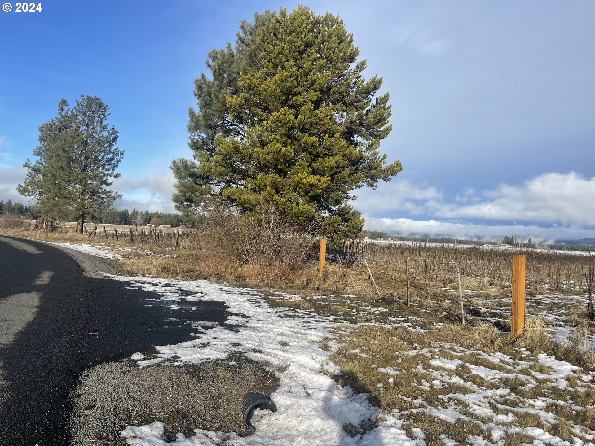 106 Lakeside Road Glenwood, WA 98619 - Photo 3 of 20 a view of a lake with a big yard