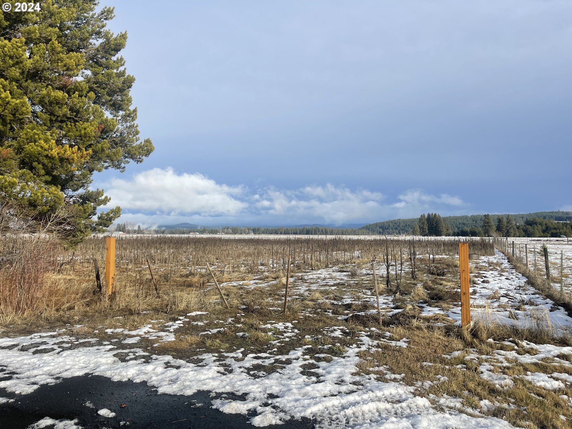 106 Lakeside Road Glenwood, WA 98619 - Photo 4 of 20 a view of lake view and mountain