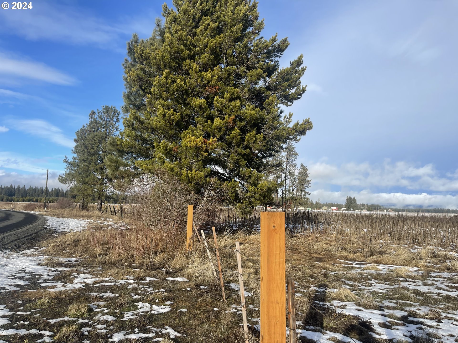 106 Lakeside Road Glenwood, WA 98619 - Photo 6 of 20 a view of lake