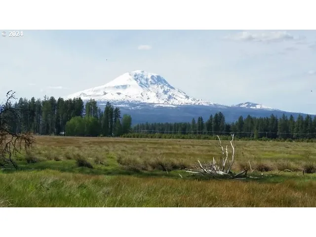 a view of a golf course with an ocean