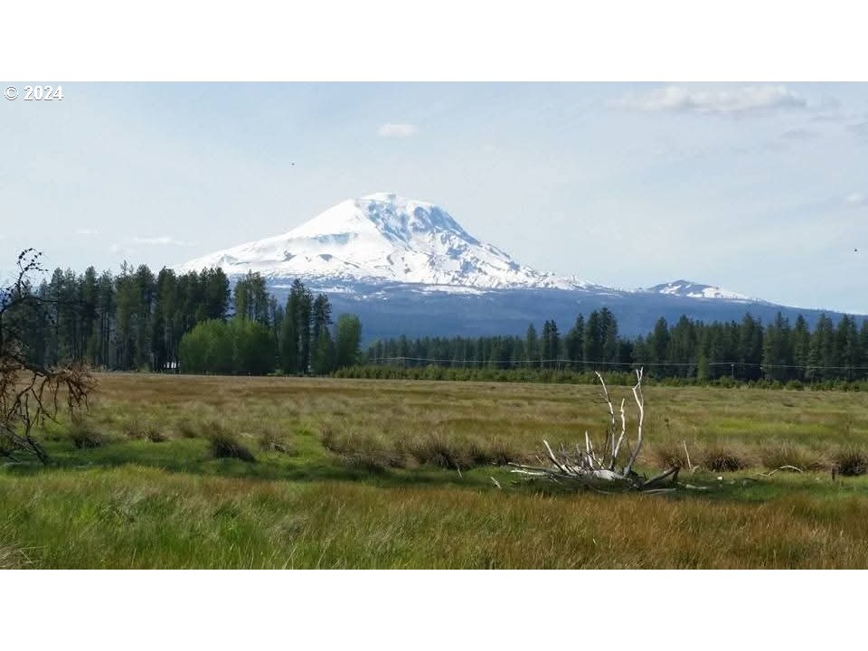 106 Lakeside Road Glenwood, WA 98619 - Photo 10 of 20 a view of a golf course with an ocean