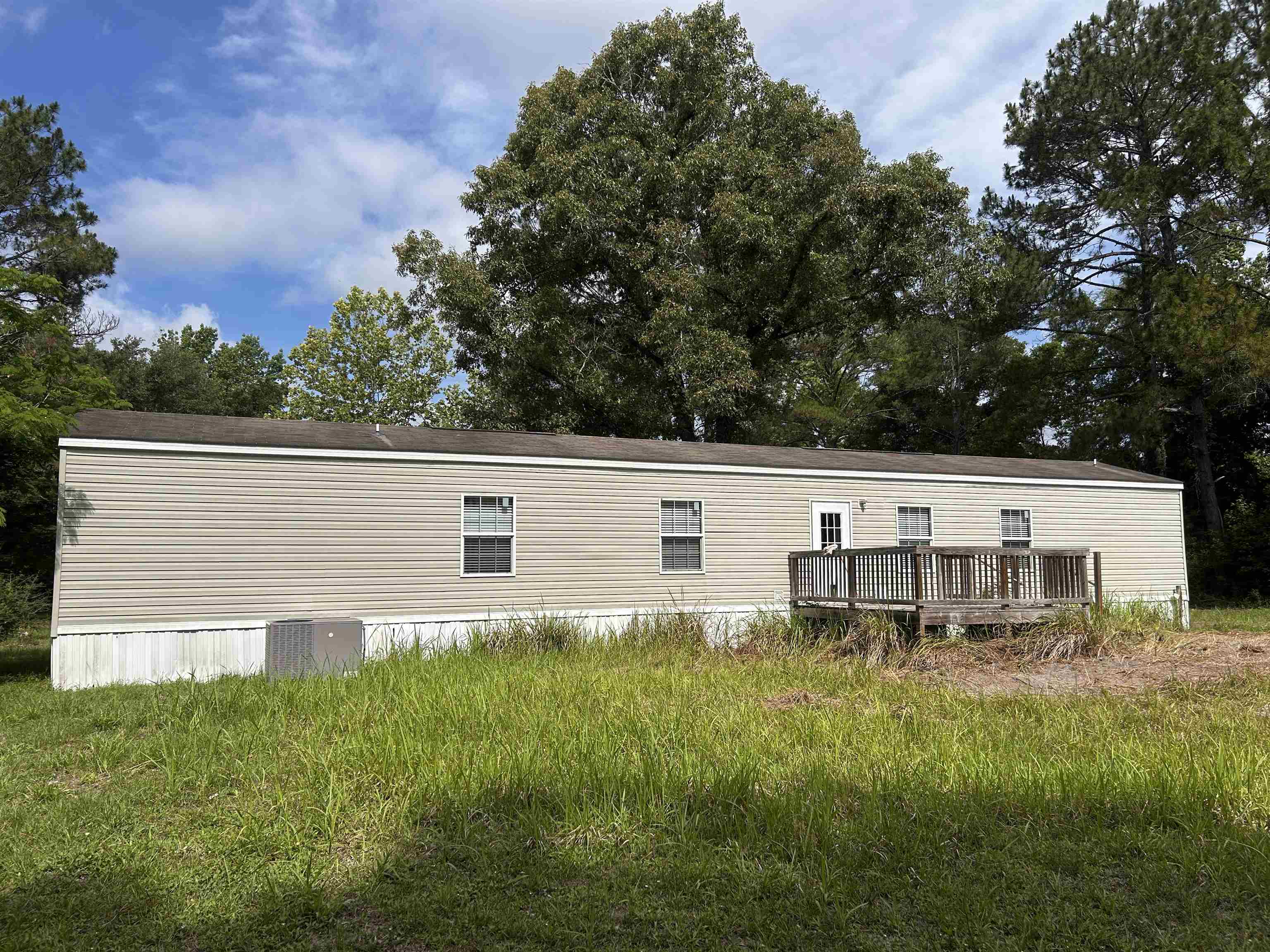 19 Centipede Road Crawfordville, FL 32327 - Photo 4 of 19