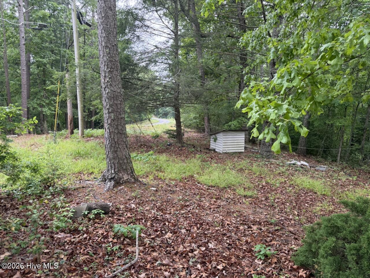 274 Snow Hill Ridge Road Murphy, NC 28906 - Photo 18 of 30