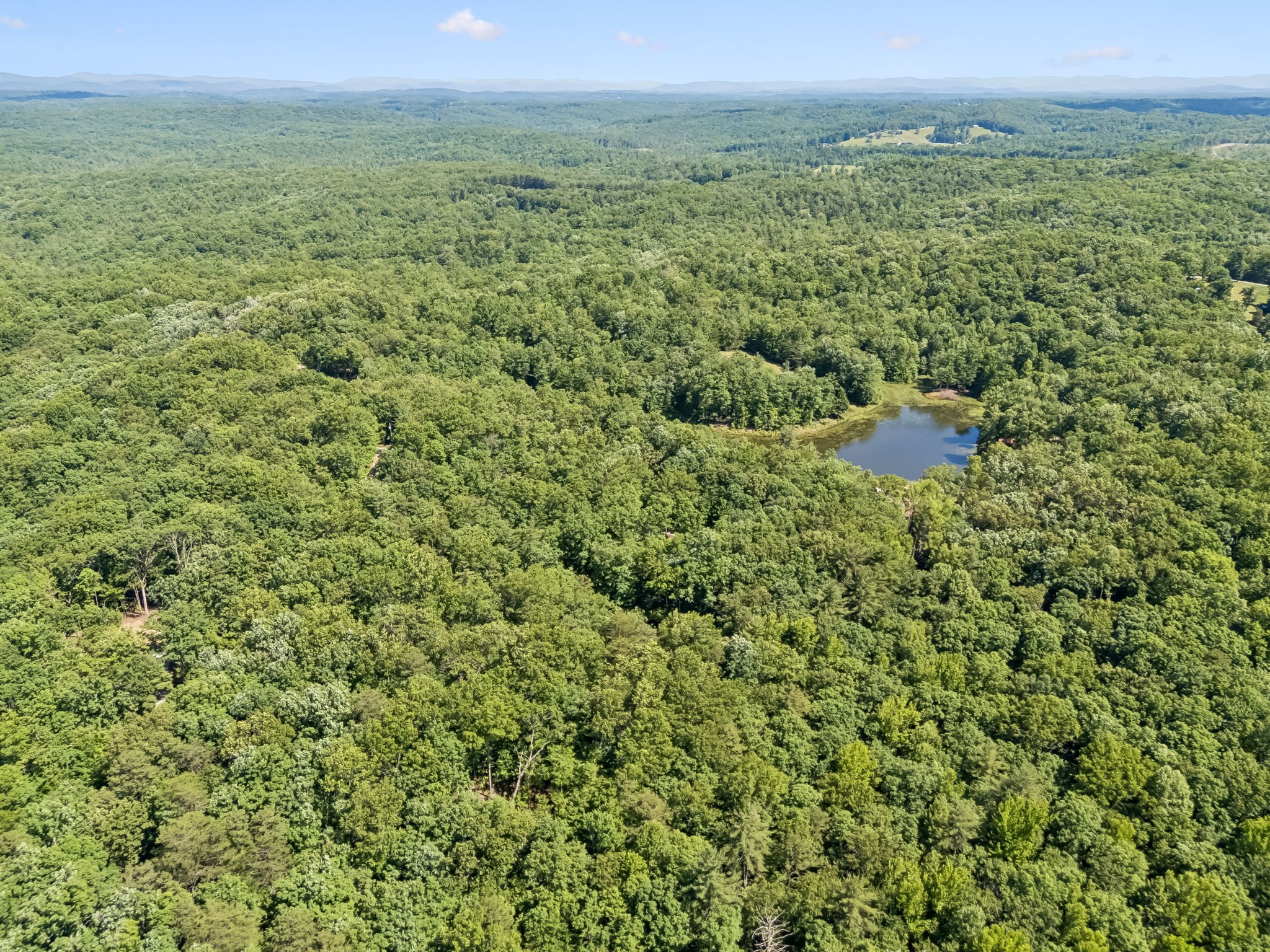 340 Doe Ridge Road Oneida, TN 37841 - Photo 90 of 99