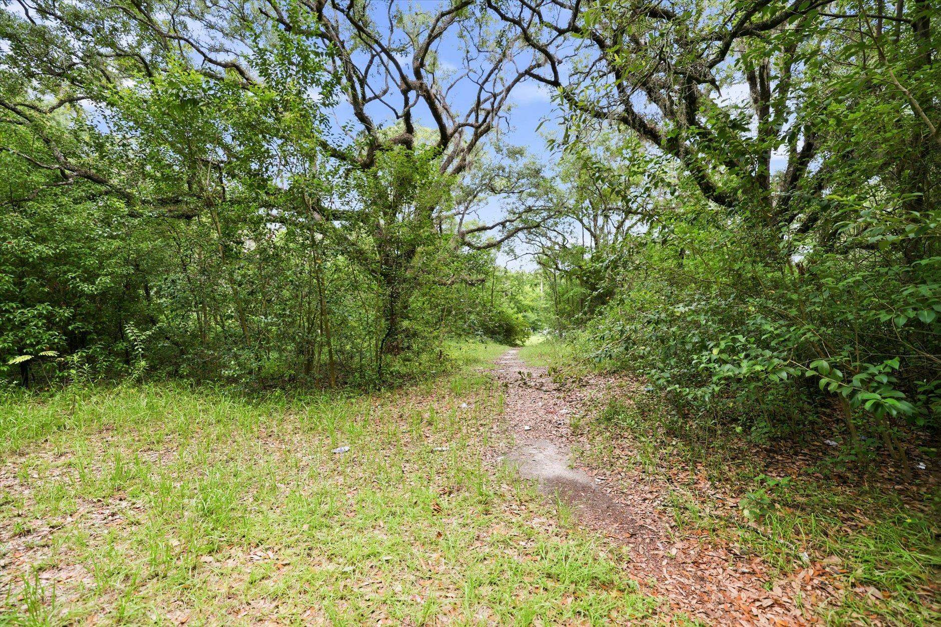 1612 Old Bainbridge Road Tallahassee, FL 32303 - Photo 9 of 43