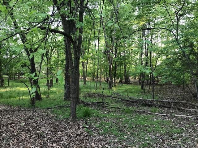 671 County Road Athens, TN 37303 - Photo 1 of 3
