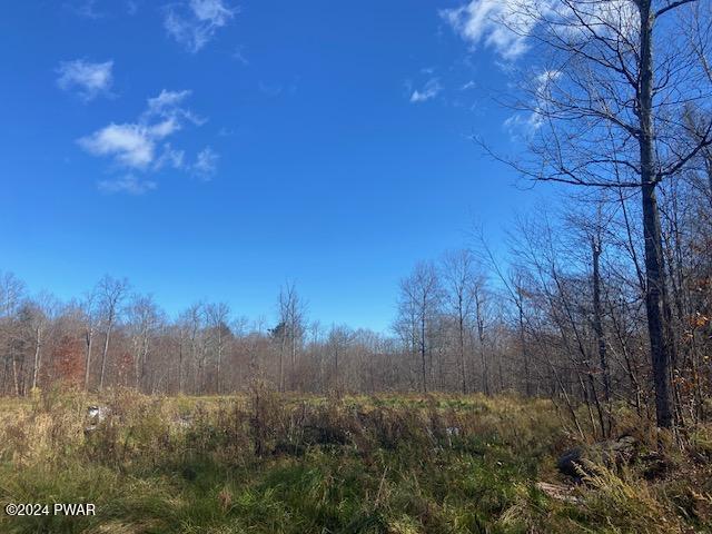 Rotten Road Equinunk, PA 18417 - Photo 8 of 8