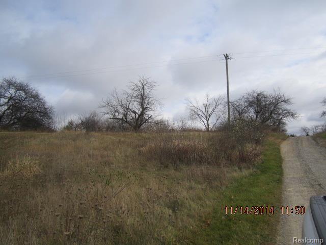 4986 Skelton Road Columbiaville, MI 48421 - Photo 12 of 14 4986 Skelton Land (2).jpg