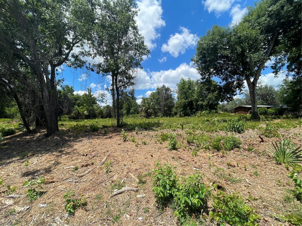 42 County Road Umatilla, FL 32784 - Photo 1 of 8