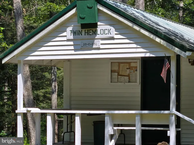 a view of a backyard with plants