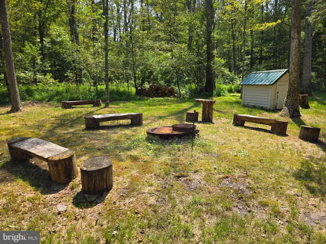 a view of a backyard with lawn chairs plants and large tree