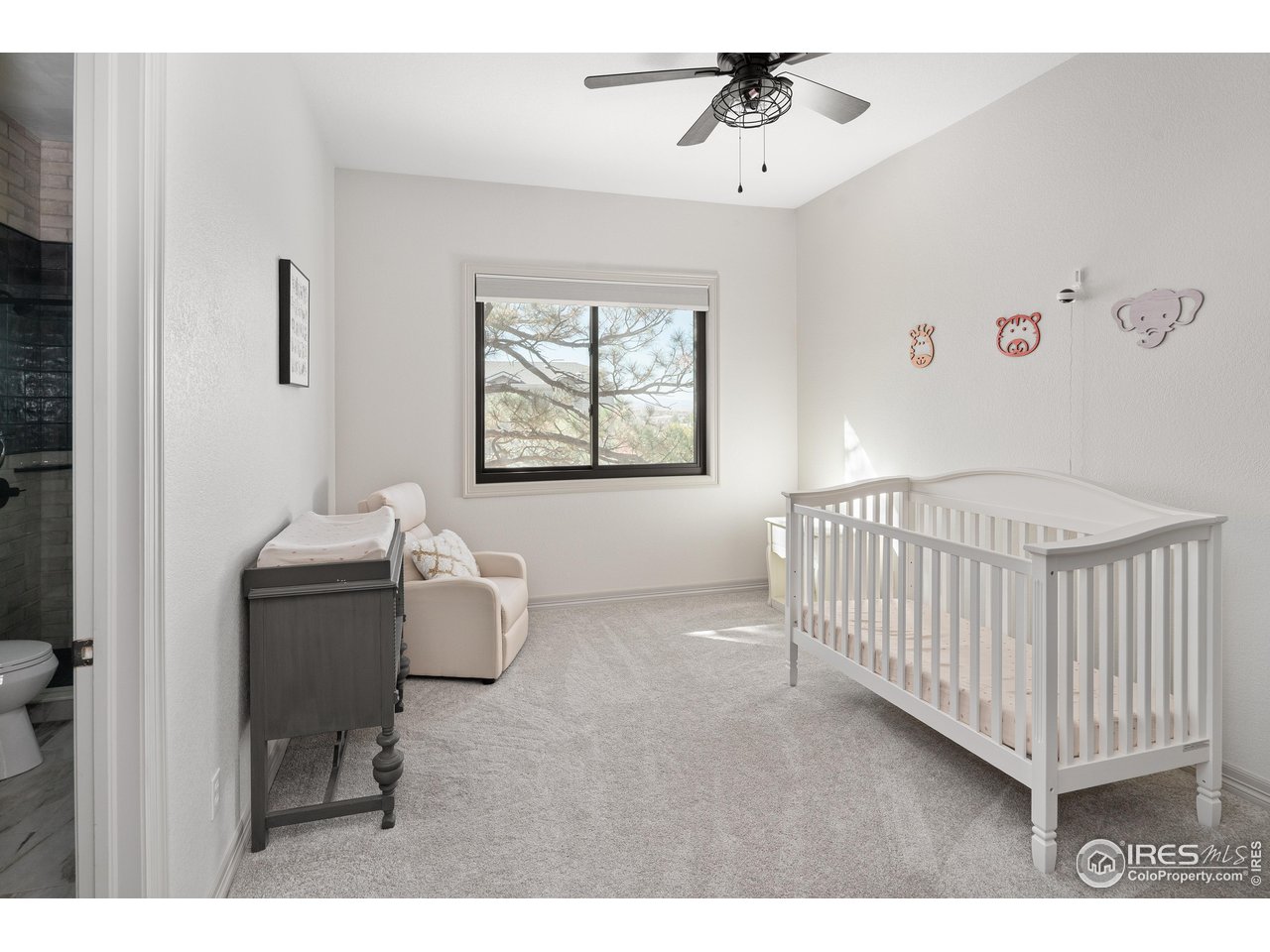 20132 East Shady Ridge Road Parker, CO 80134 - Photo 28 of 49